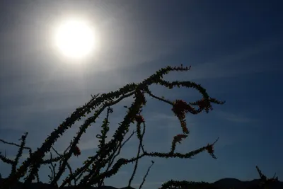 DSC_1830 (Large).JPG